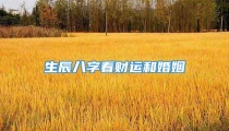 生辰八字看财运和婚姻