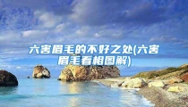 六害眉毛的不好之处(六害眉毛看相图解)