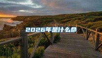 2026年是什么命