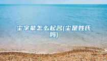 尘字辈怎么起名(尘是姓氏吗)