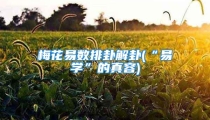梅花易数排卦解卦(“易学”的真容)