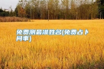 免费测最准姓名(免费占卜问事)