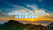 己巳日五行属什么,己巳日五行相生相克