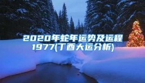 2020年蛇年运势及运程1977(丁酉大运分析)