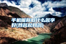 手机昵称取什么名字好(姓名起网名)