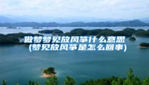 做梦梦见放风筝什么意思 (梦见放风筝是怎么回事)