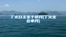 丁火日主生于卯月(丁火生在申月)