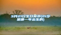 3月21日生日算命(21岁是哪一年出生的)