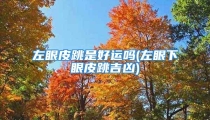 左眼皮跳是好运吗(左眼下眼皮跳吉凶)