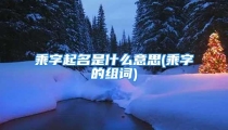 乘字起名是什么意思(乘字的组词)