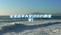 宝宝名字大全(2021的宝宝)