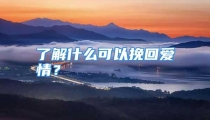 了解什么可以挽回爱情？