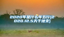 2020年是什么年五行(2020.12.5天干地支)