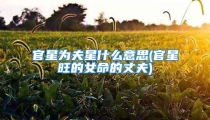 官星为夫星什么意思(官星旺的女命的丈夫)