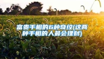 富贵手相的6种奇纹(这两种手相的人最会理财)