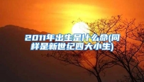 2011年出生是什么命(同样是新世纪四大小生)