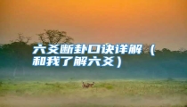 六爻断卦口诀详解(和我了解六爻)
