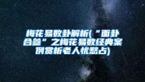 梅花易数卦解析(“面卦合参”之梅花易数经典案例赏析老人忧愁占)
