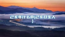 己亥年什么命(己亥日生人)