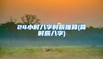 24小时八字时辰推算(算时辰八字)