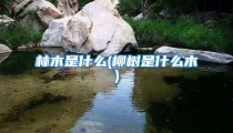 林木是什么(柳树是什么木)