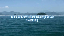 11月20日生日算命(12.25出生)