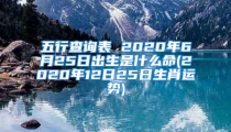 五行查询表 2020年6月25日出生是什么命(2020年12日25日生肖运势)