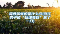 算卦属蛇的是什么命(浙江男子被“超级毒蛇”咬了一口)