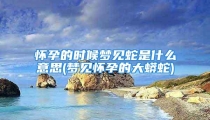 怀孕的时候梦见蛇是什么意思(梦见怀孕的大蟒蛇)