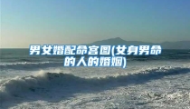 男女婚配命宫图(女身男命的人的婚姻)