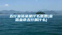 五行金箔金是什么意思(金箔金命五行属什么)