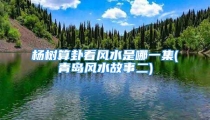 杨树算卦看风水是哪一集(青岛风水故事二)