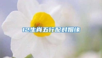 12生肖五行配对姻缘