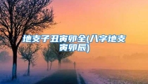 地支子丑寅卯全(八字地支寅卯辰)