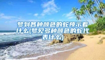 梦到各种颜色的蛇预示着什么(梦见多种颜色的蛇代表什么)