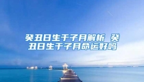 癸丑日生于子月解析 癸丑日生于子月命运好吗