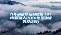 71年属猪命运和婚姻(1971年属猪人2018年整体运势及运程)