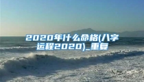 2020年什么命格(八字运程2020)_重复