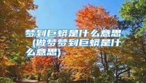 梦到巨蟒是什么意思 (做梦梦到巨蟒是什么意思)