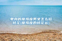 单身的摩羯座男女怎么招桃花(摩羯座的桃花运)