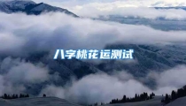 八字桃花运测试