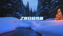 乙卯日柱性格