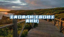 壬寅日庚戌时(壬辰日柱壬寅时柱)