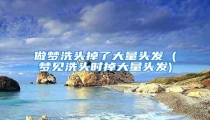 做梦洗头掉了大量头发 (梦见洗头时掉大量头发)