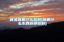 属兔佩戴什么招财(佩戴什么东西辟邪招财)