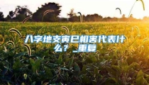 八字地支寅巳相害代表什么?_重复