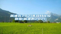属猪在2021年几月比较倒霉(属猪的2021)