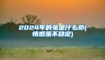 2024年的兔是什么命(情感虽不稳定)