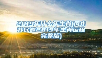 2019年什么年生肖(风水苏民峰2019年生肖运程完整版)