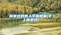 断掌纹的男人手相图解(手上断掌纹)